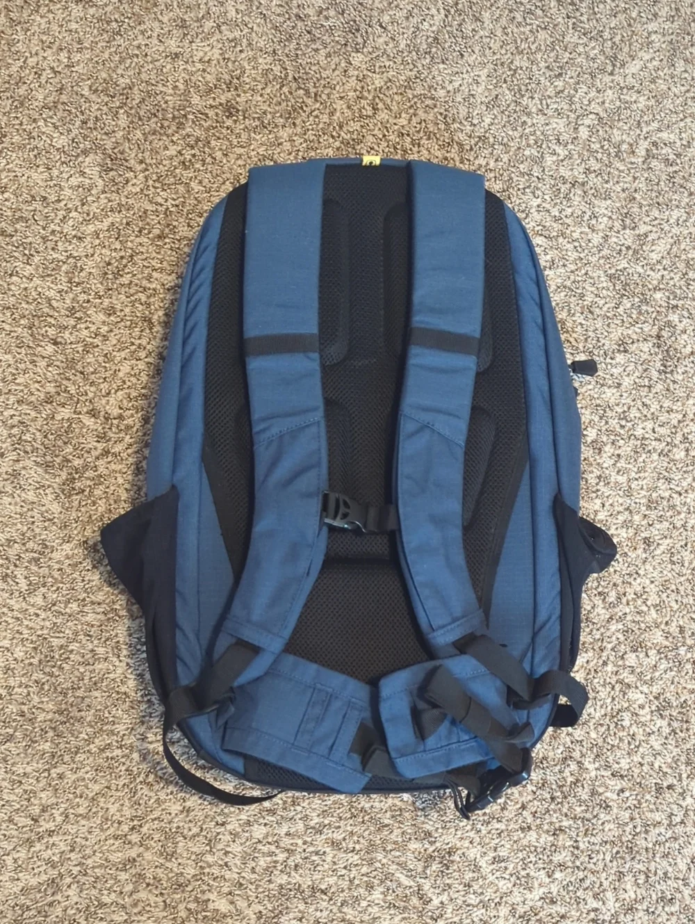 Carhartt description pictures